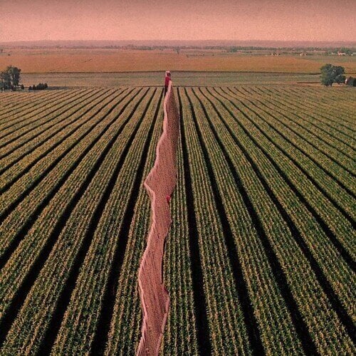 LP ploča Possible Humans - Everybody Split (LP)