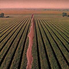 Vinyl Record Possible Humans - Everybody Split (LP)