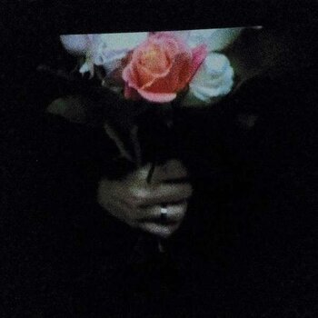 Vinilinė plokštelė Paper Dollhouse - Aeonflower (LP) - 1