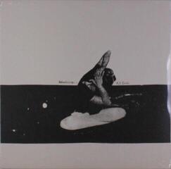 Disque vinyle U.S. Girls - Introducing... (LP)