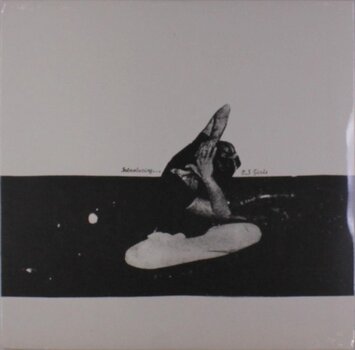 Disque vinyle U.S. Girls - Introducing... (LP) - 1