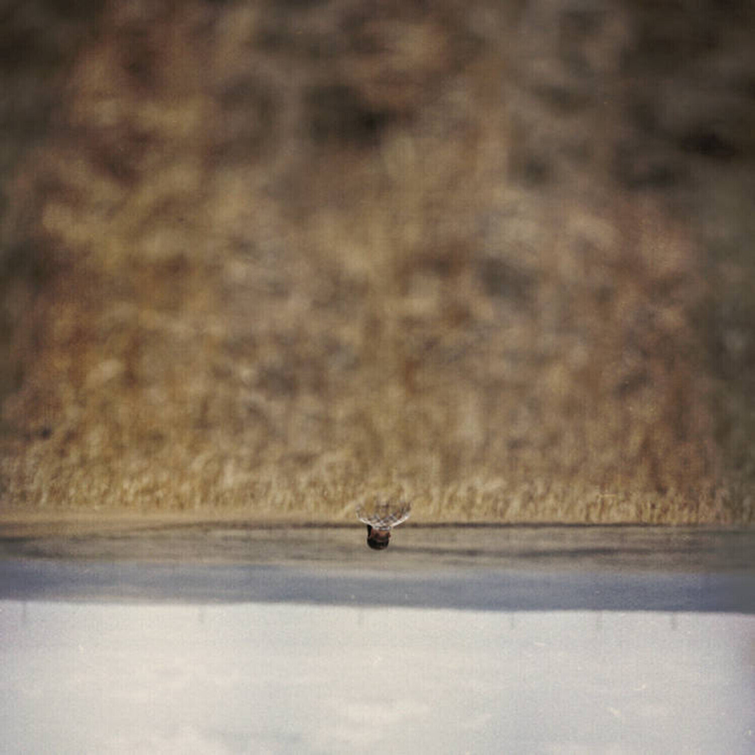 Vinylskiva Jim O'Rourke - Hands That Bind (Original Motion Picture Soundtrack) (LP)