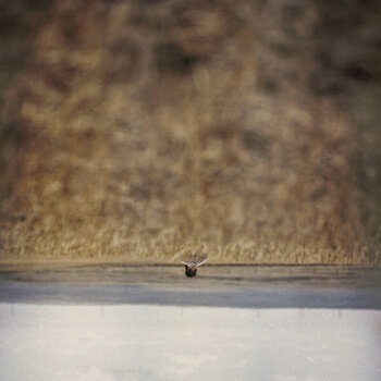 Vinylskiva Jim O'Rourke - Hands That Bind (Original Motion Picture Soundtrack) (LP) - 1