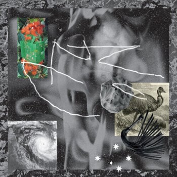 Vinyl Record No Zu - Afterlife (LP) - 1