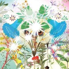 Disque vinyle OOIOO - Gamel (2 LP)