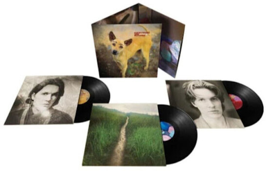 LP ploča David Sylvian - Everything And Nothing (Reissue) (3 LP) - 1