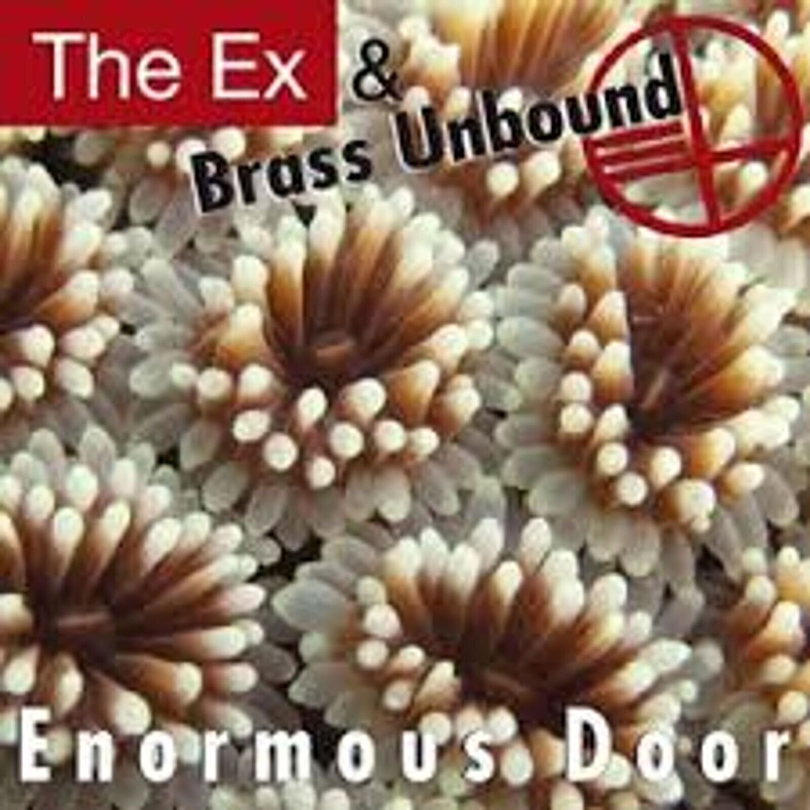 Disque vinyle The Ex & Brass Unbound - Enormous Door (LP)