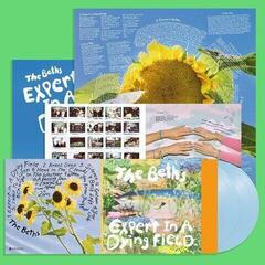 Vinyl Record The Beths - Expert In A Dying Field (Baby Blue Coloured) (2 LP)