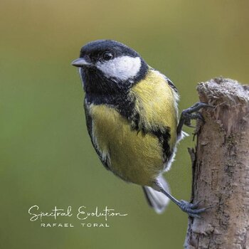 Vinyl Record Rafael Toral - Spectral Evolution (LP) - 1