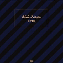 Vinyl Record Real Estate - In Mind (Limited Edition) (LP)