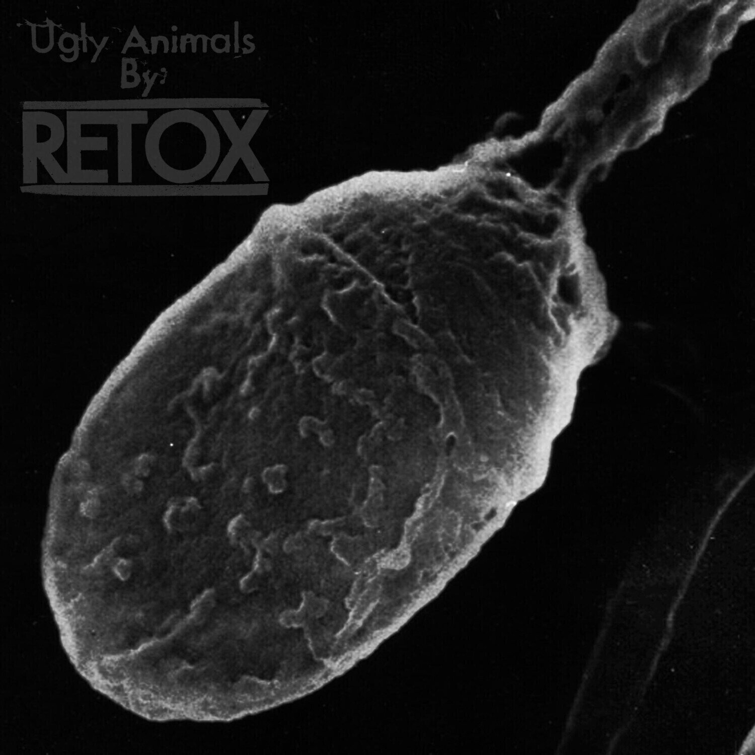 Vinyl Record Retox - Ugly Animals (LP)