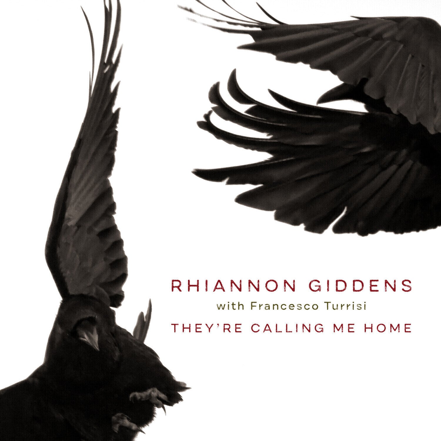 Disco in vinile Rhiannon Giddens & Francesco Turrisi - They're Calling Me Home (LP)