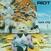 Disc de vinil Riot - Rock City (Limited Edition) (LP)