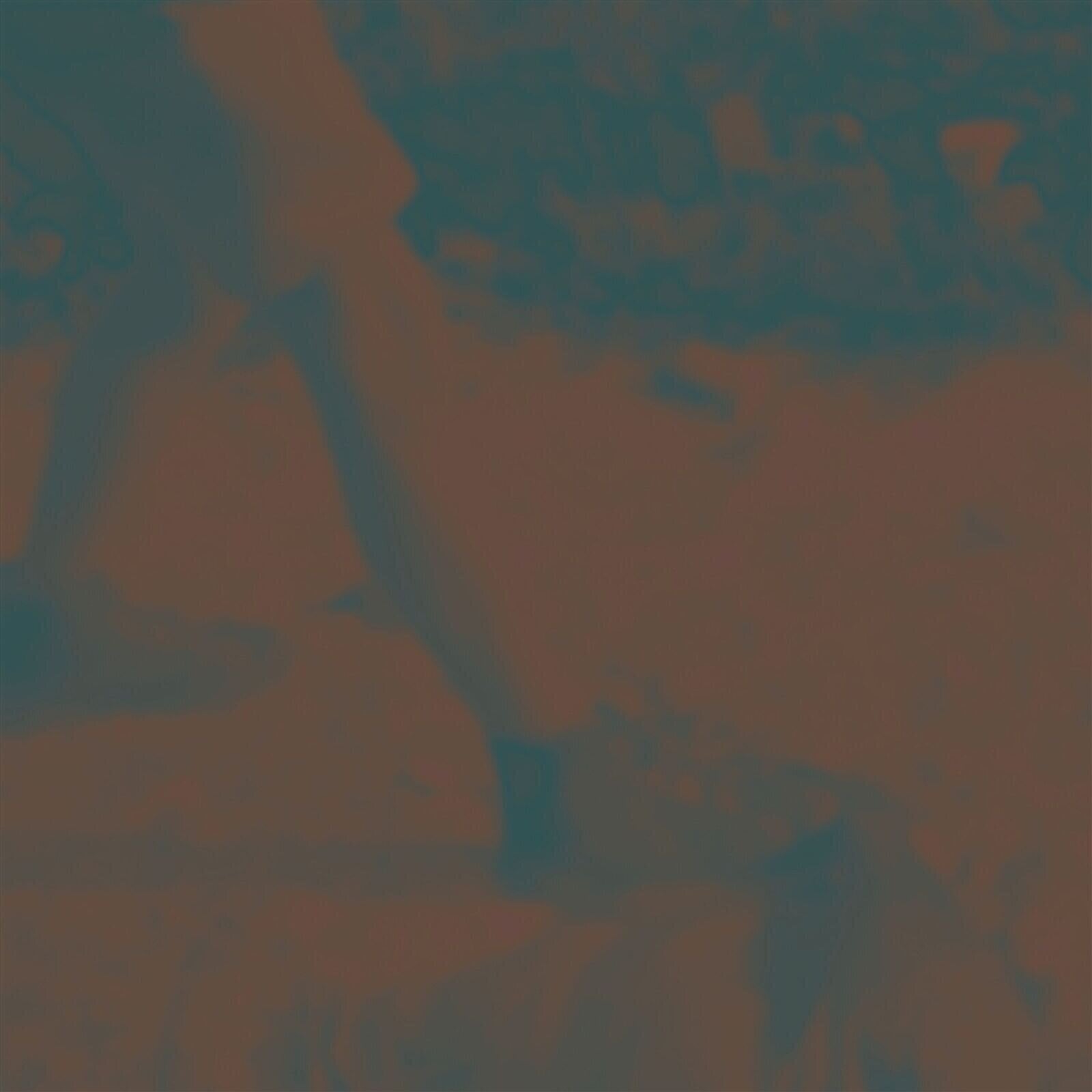 Vinilinė plokštelė Ritual Howls - Ritual Howls (10 Year Deluxe Edition) (Limited Edition) (Coloured) (LP)