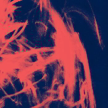 LP ploča Rival Consoles - Landscape From Memory (Limited Edition) (Coloured) (2 LP) - 1