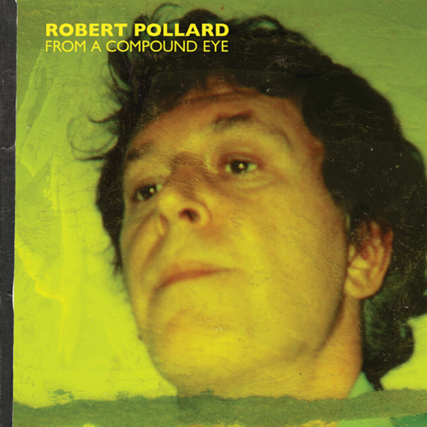 Disque vinyle Robert Pollard - From A Compound Eye (Reissue) (2 LP)