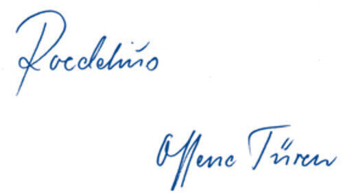 LP deska Hans-Joachim Roedelius - Offene Türen (Reissue) (180 g) (LP) - 1