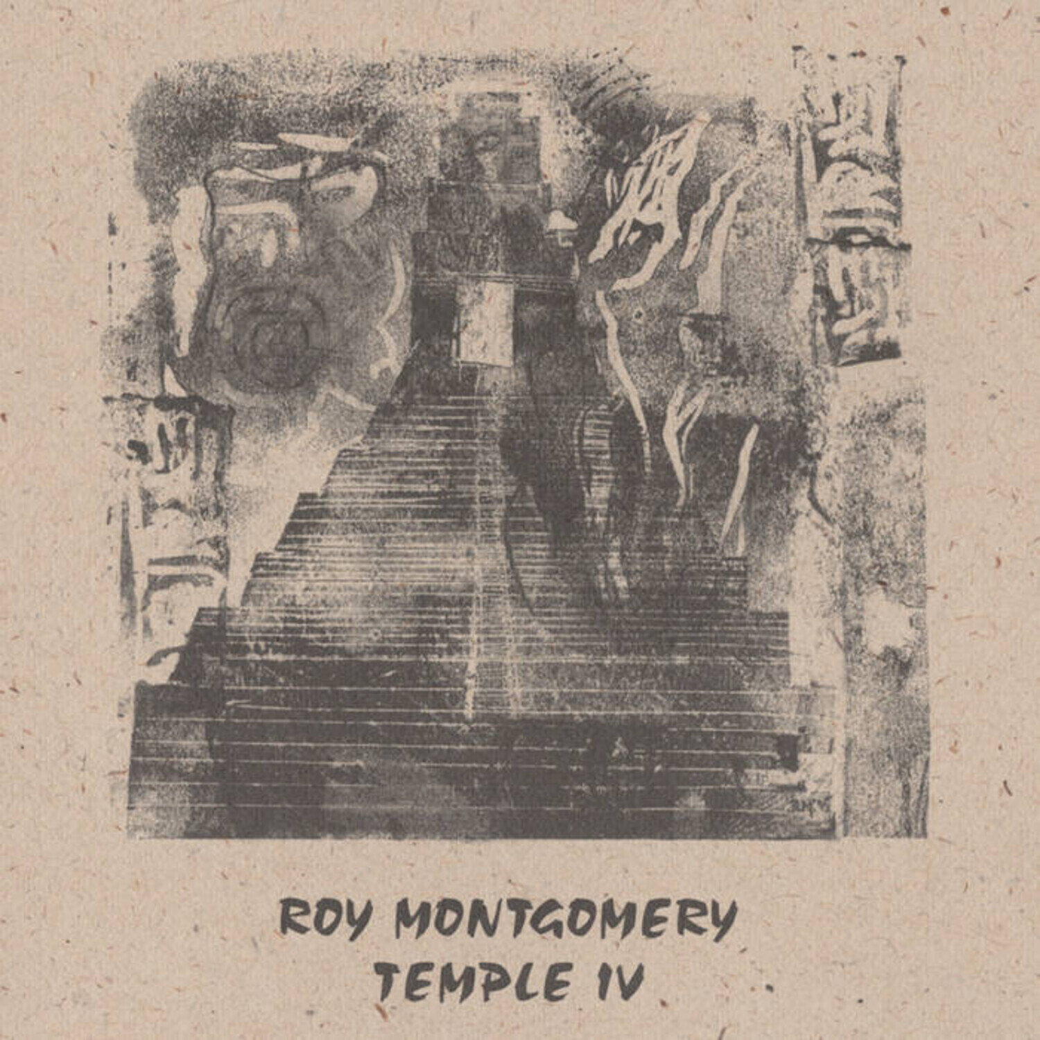Disco in vinile Roy Montgomery - Temple IV (Reissue) (2 LP)