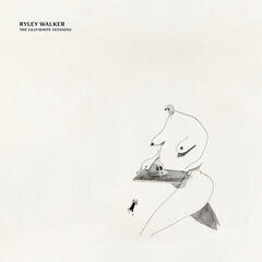 Disque vinyle Ryley Walker - The Lillywhite Sessions (Limited Edition) (2 LP)