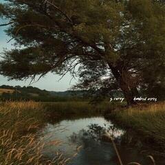 Disque vinyle S. Carey - Hundred Acres (Limited Edition) (LP)