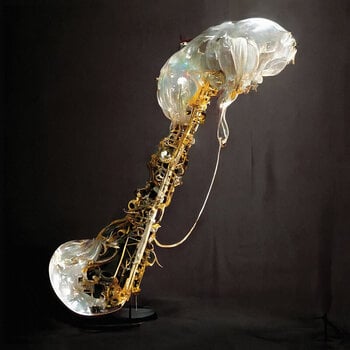 Vinyl Record Sam Gendel - Cookup (LP) - 1