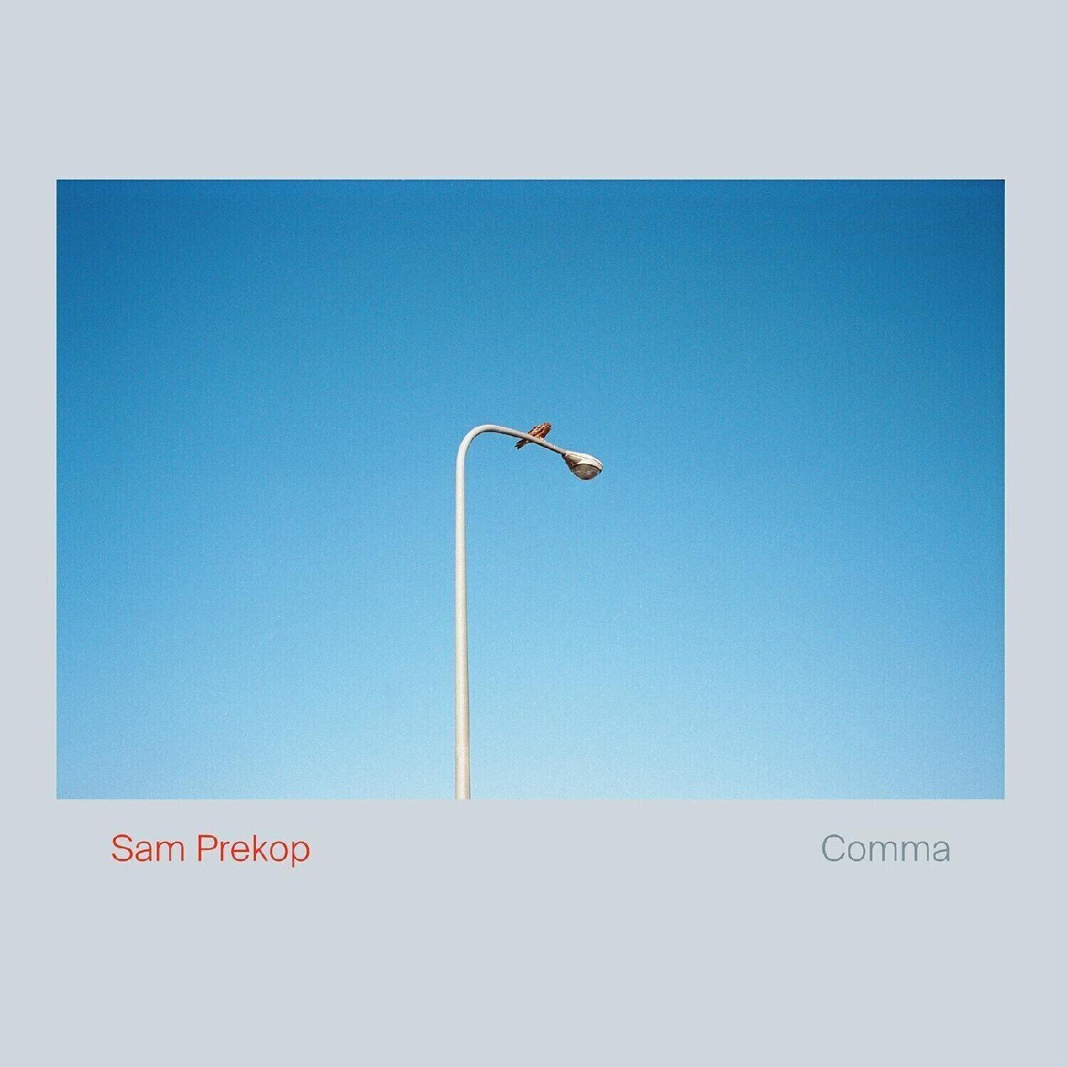 Vinüülplaat Sam Prekop - Comma (Limited Edition) (LP)