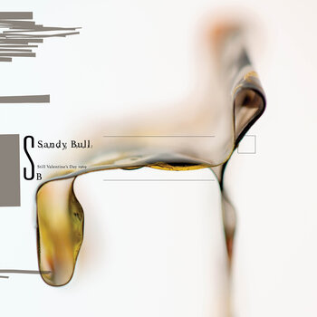 Disque vinyle Sandy Bull - Still Valentine's Day 1969 (2 LP) - 1