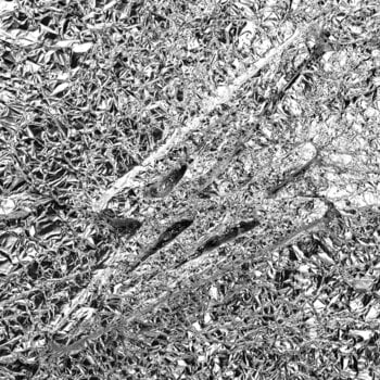 Vinyl Record Say She She - Silver (2 LP) - 1