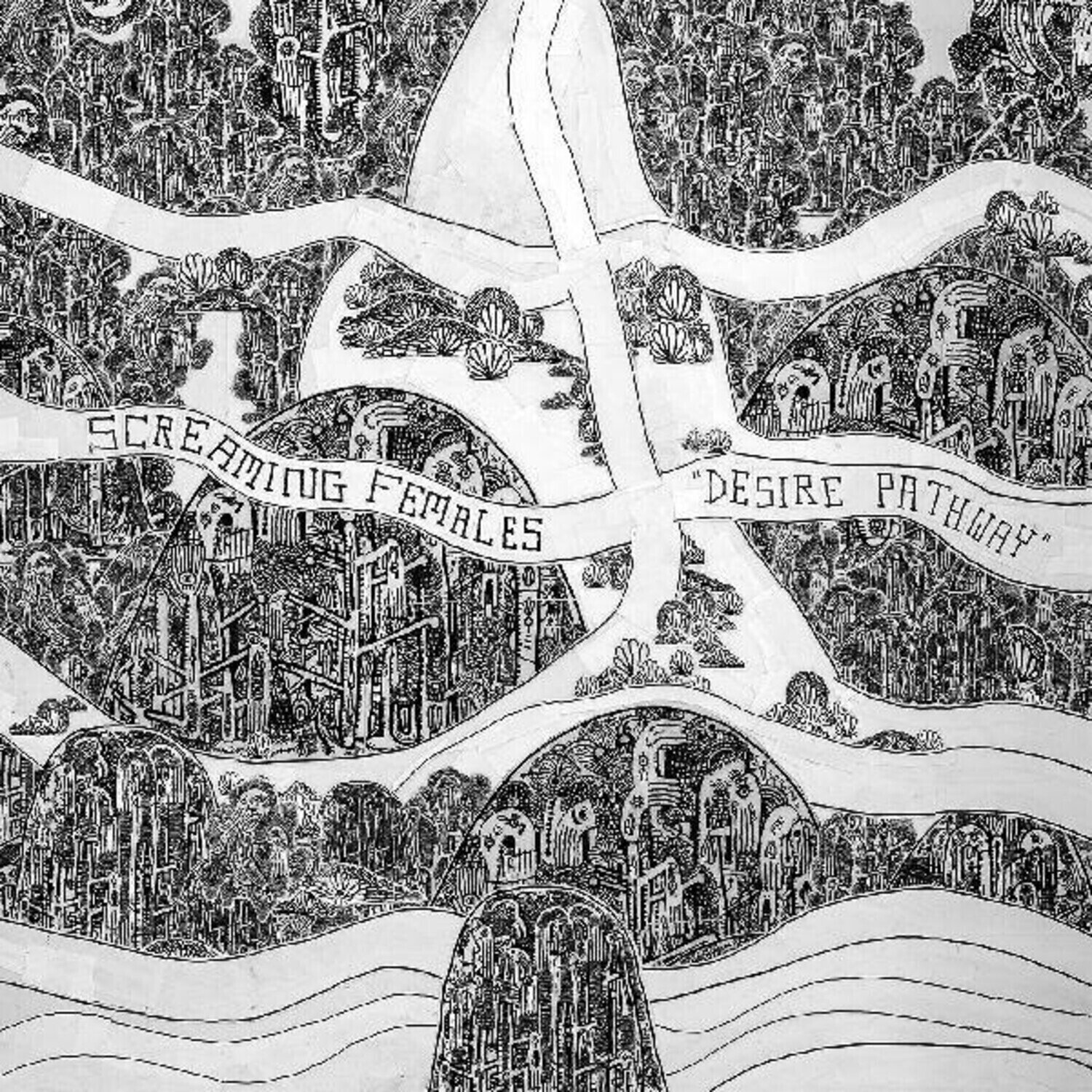 Vinylskiva Screaming Females - Desire Pathway (Limited Edition) (LP)