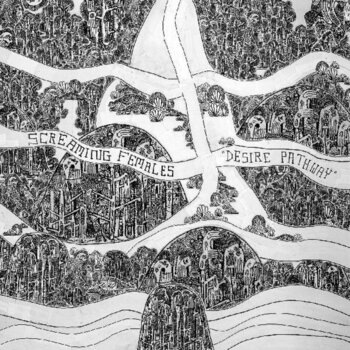 Vinylskiva Screaming Females - Desire Pathway (Limited Edition) (LP) - 1