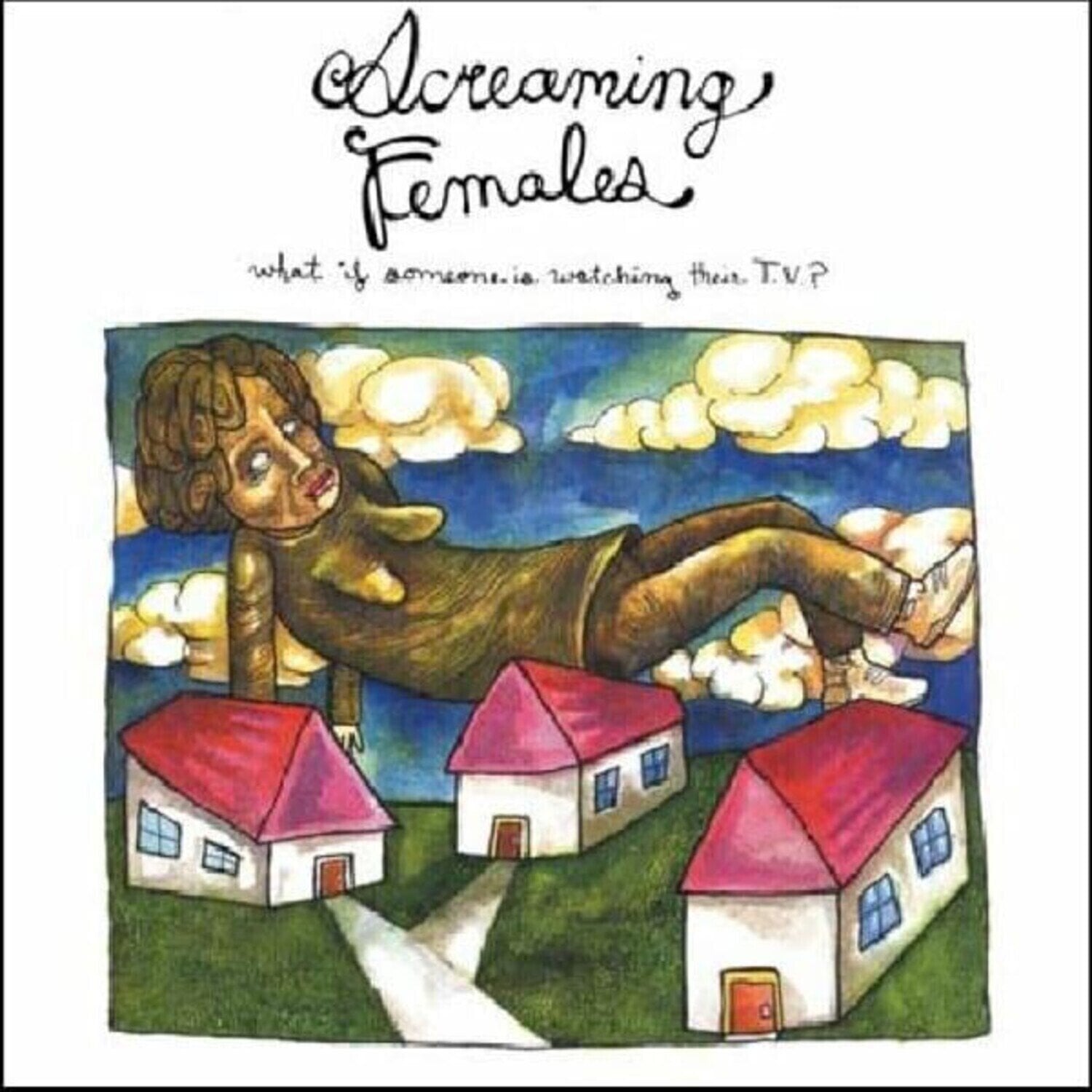 Schallplatte Screaming Females - What If Someone Is Watching Their T.V.? (Reissue) (Coloured) (LP)