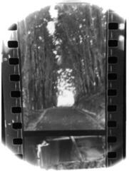 Vinyl Record Seahaven - Winter Forever (LP)