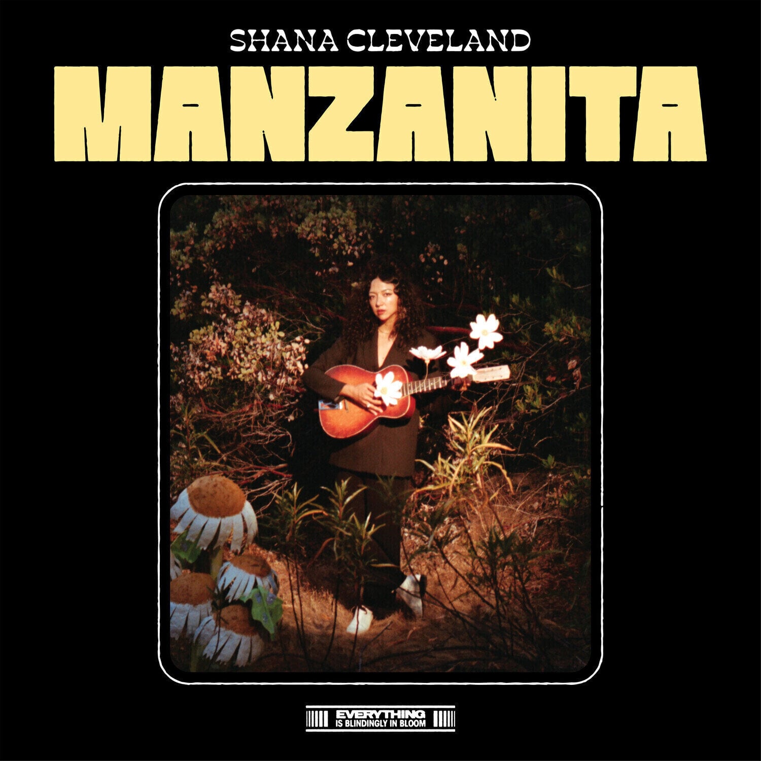 Disque vinyle Shana Cleveland - Manzanita (Limited Edition) (Maroon Coloured) (LP)