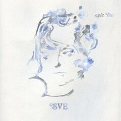 Disque vinyle Sharon Van Etten - Epic Ten (Limited Edition) (2 LP)