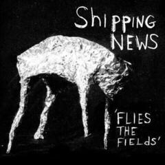 LP ploča Shipping News - Flies The Fields (LP)