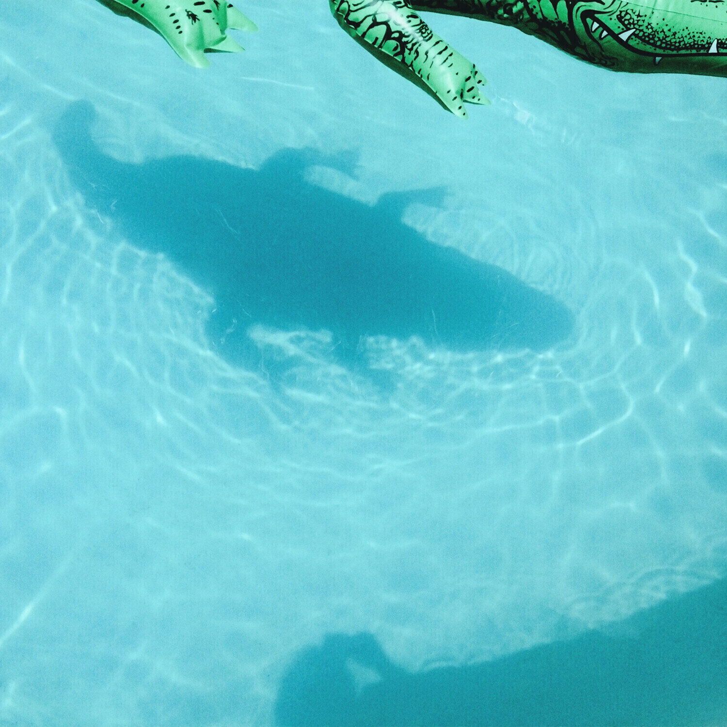 Schallplatte Shopping - The Official Body (LP)