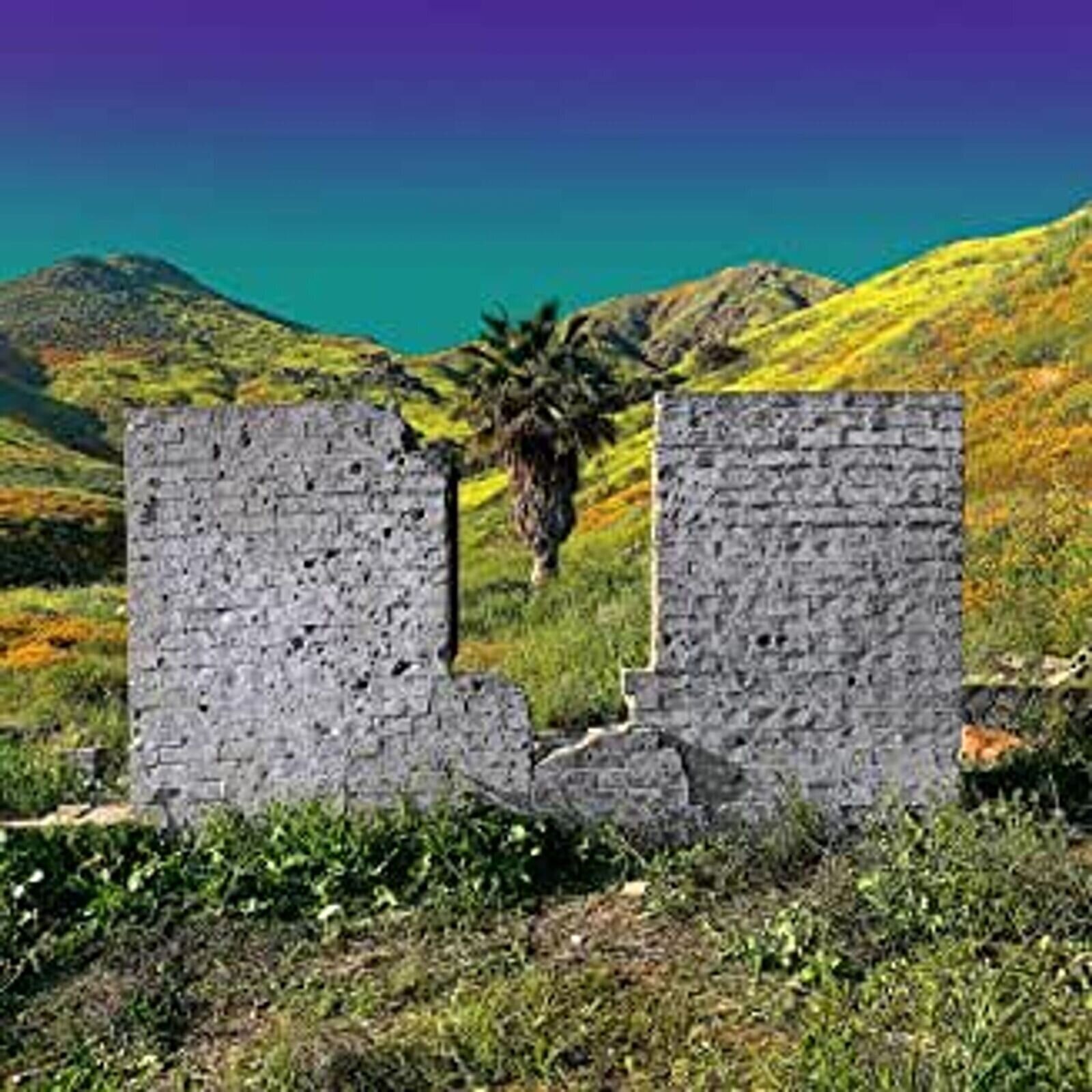 Vinyl Record Shopping - All Or Nothing (LP)