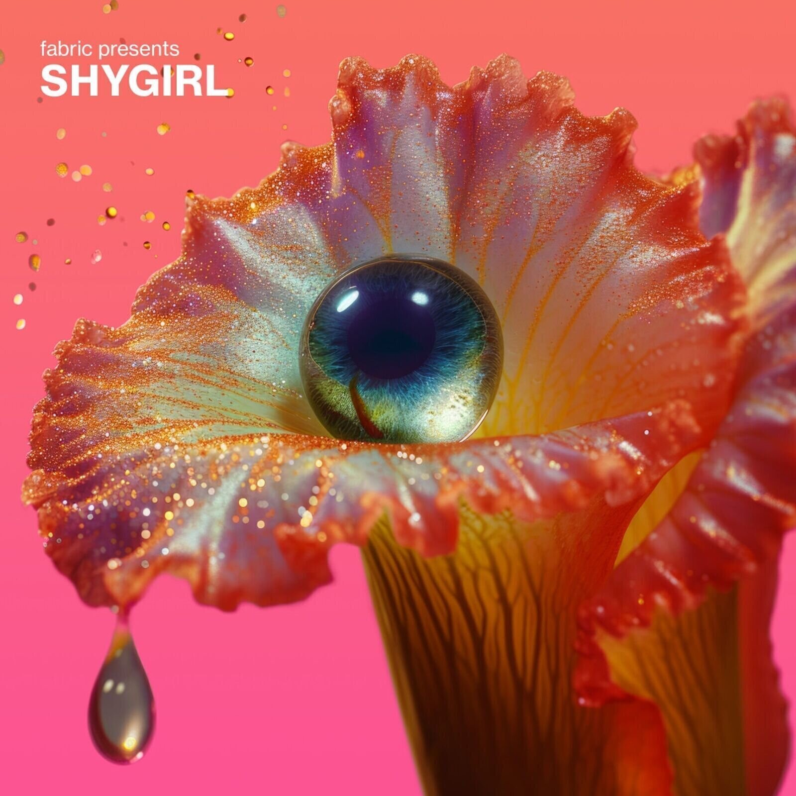 LP ploča Shygirl - Fabric Presents Shygirl (Yellow Translucent Coloured) (2 LP)