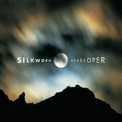 LP ploča Silkworm - Developer (Reissue) (2 LP + CD)