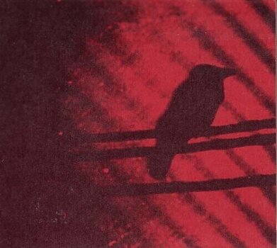 LP ploča A Silver Mt. Zion - Born Into Trouble As The Sparks Fly Upward. (2 x 10") - 1