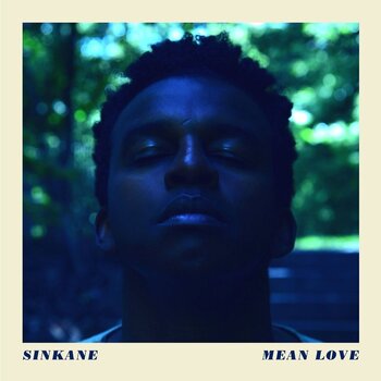 Vinyl Record Sinkane - Mean Love (LP) - 1