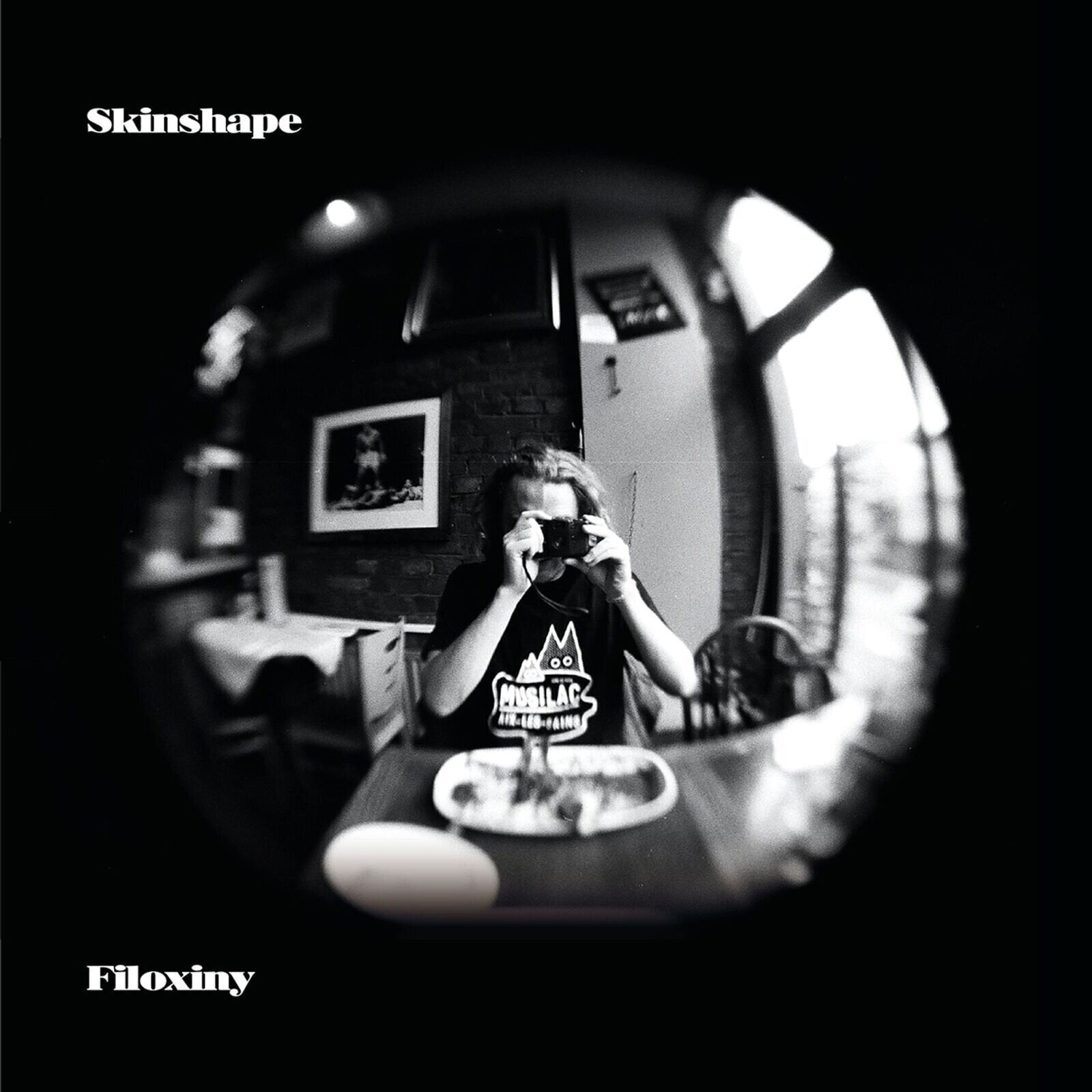 Schallplatte Skinshape - Filoxiny (Special Edition) (Limited Edition) (LP)