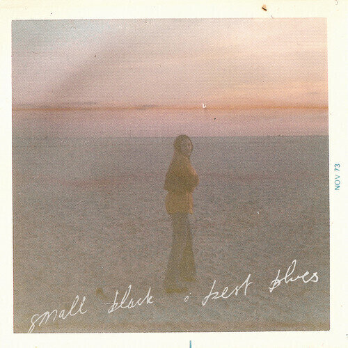 Vinüülplaat Small Black - Best Blues (LP)