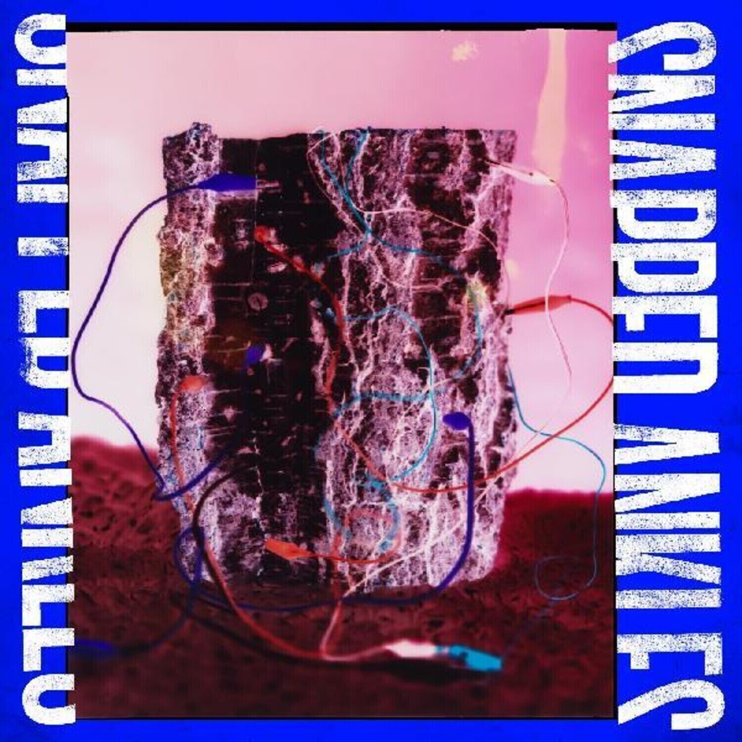 LP ploča Snapped Ankles - Forest Of Your Problems (Limited Edition) (Coloured) (LP)