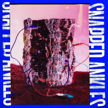 LP ploča Snapped Ankles - Forest Of Your Problems (Limited Edition) (Coloured) (LP) - 1