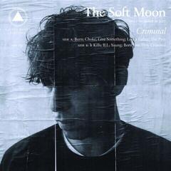 Vinyl Record The Soft Moon - Criminal (LP)