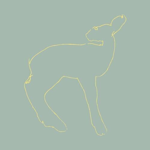 Disco in vinile Songs: Ohia - Hecla & Griper (Reissue) (EP)