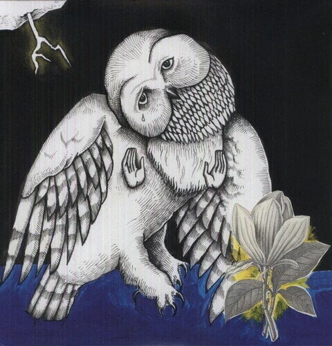 Disque vinyle Songs: Ohia - The Magnolia Electric Co (Deluxe Edition) (2 LP)