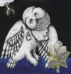 Disco in vinile Songs: Ohia - The Magnolia Electric Co (Deluxe Edition) (2 LP)