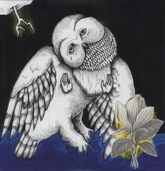 Disque vinyle Songs: Ohia - The Magnolia Electric Co (Deluxe Edition) (2 LP) - 1